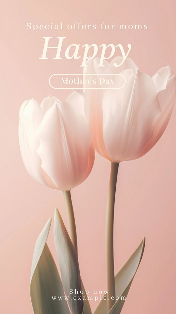Mother's day sale Facebook story template