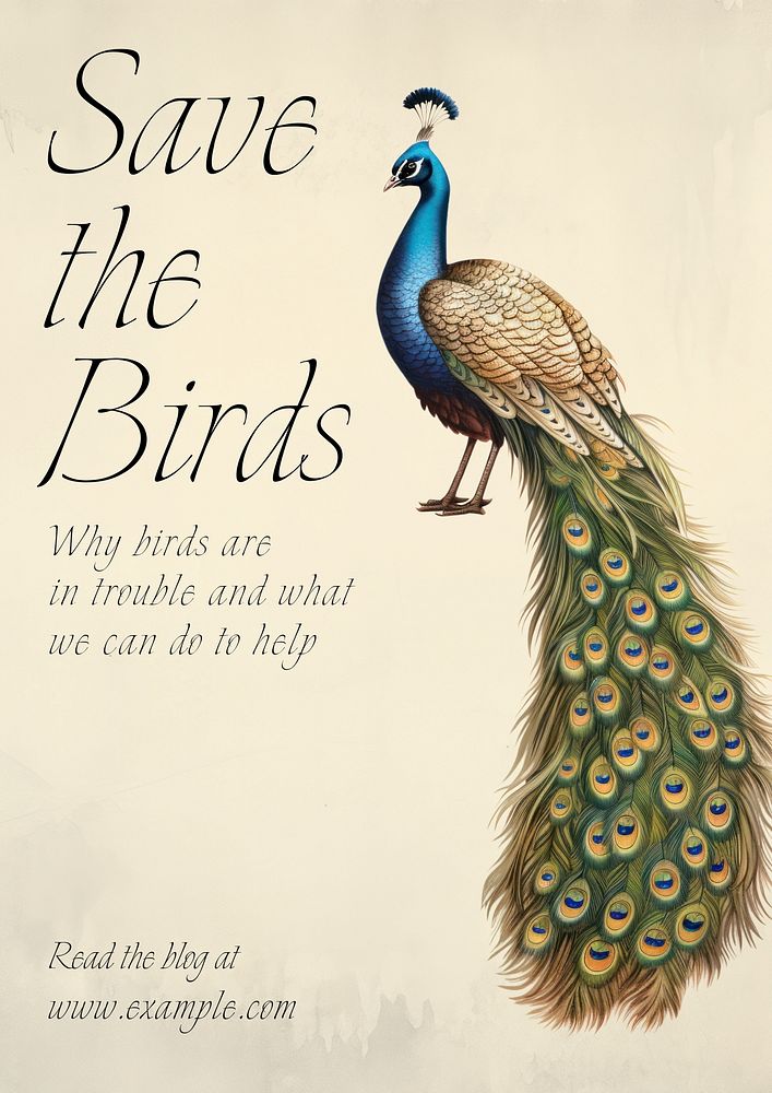 Save the birds  poster template