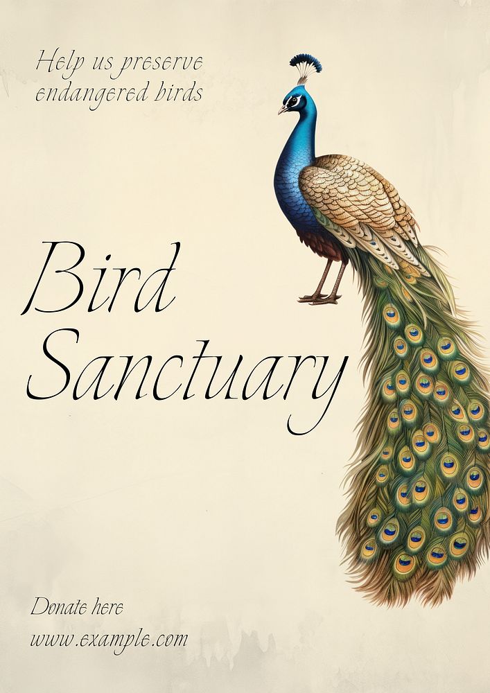 Bird sanctuary poster template