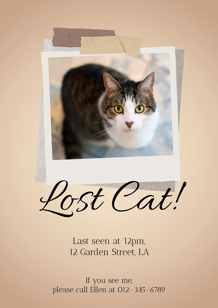 Lost pet poster template