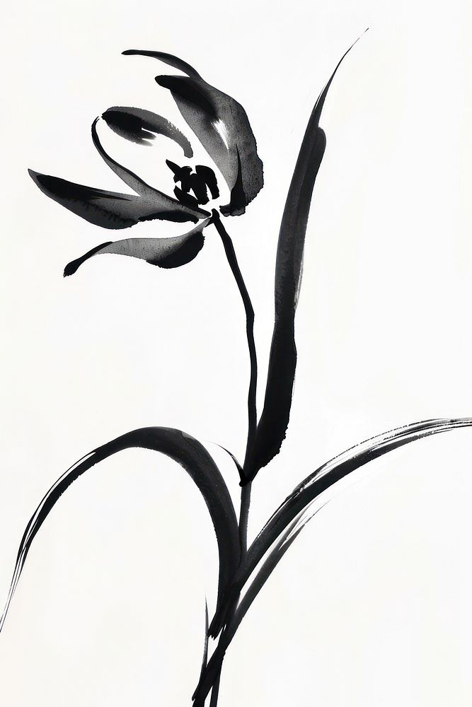 Tulip Japanese minimal art illustrated blossom.