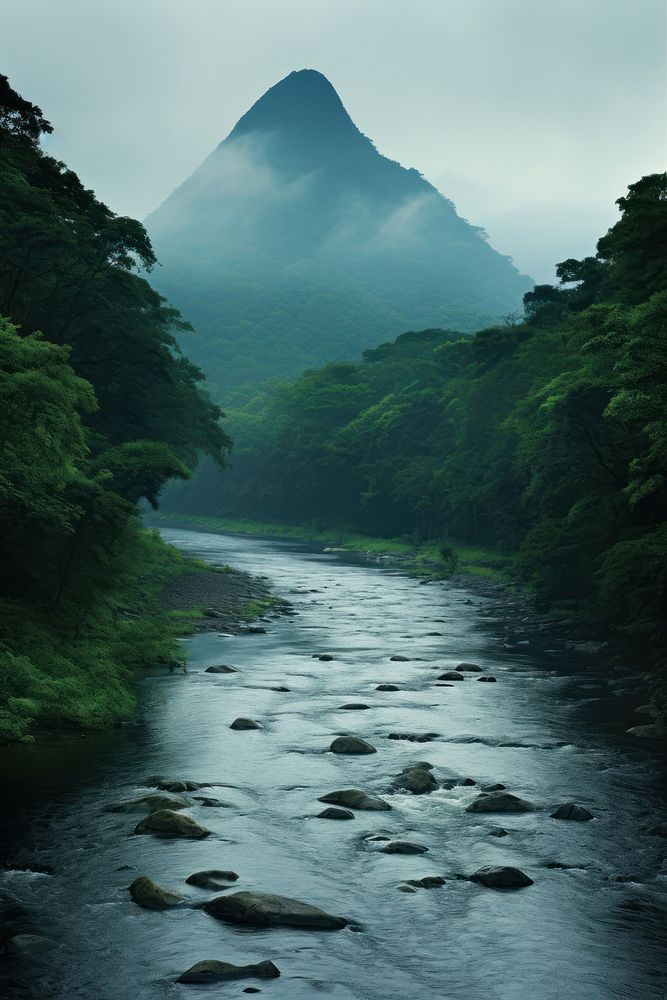 River mountain river rainforest.