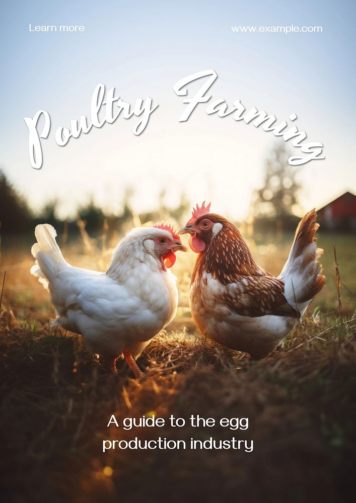 Poultry farming poster template