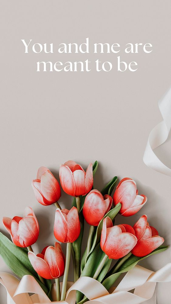 Valentine's Day quotes Instagram story template