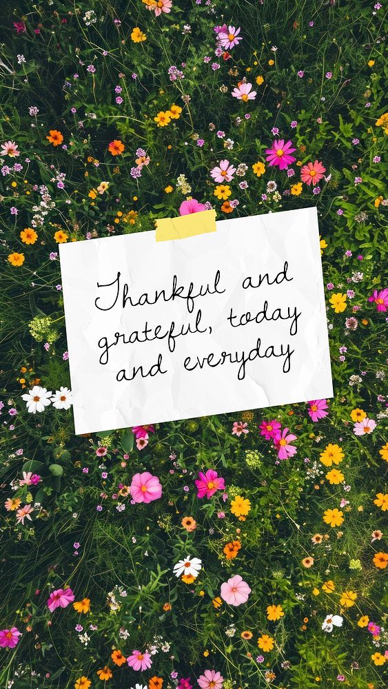 Tahnkful & grateful Instagram story template