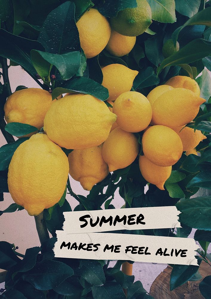 Summer makes me feel alive poster template