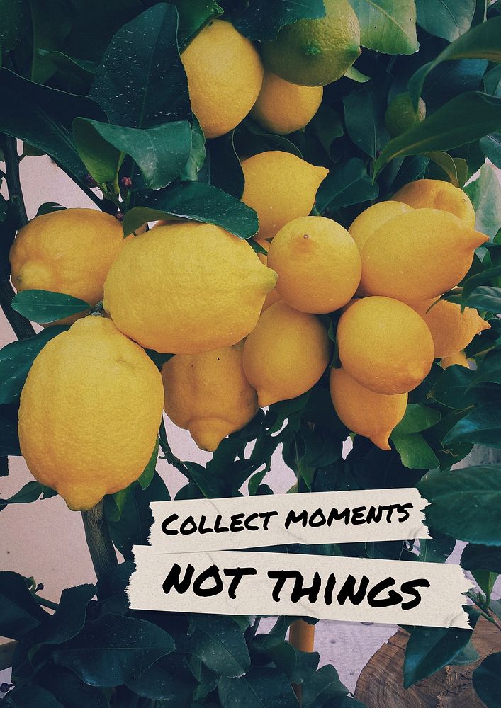 Collect moments not things poster template