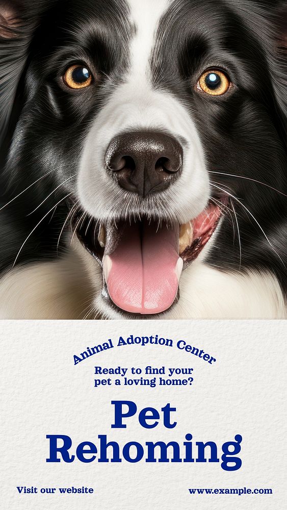 Pet adoption & rehoming  Instagram story temple