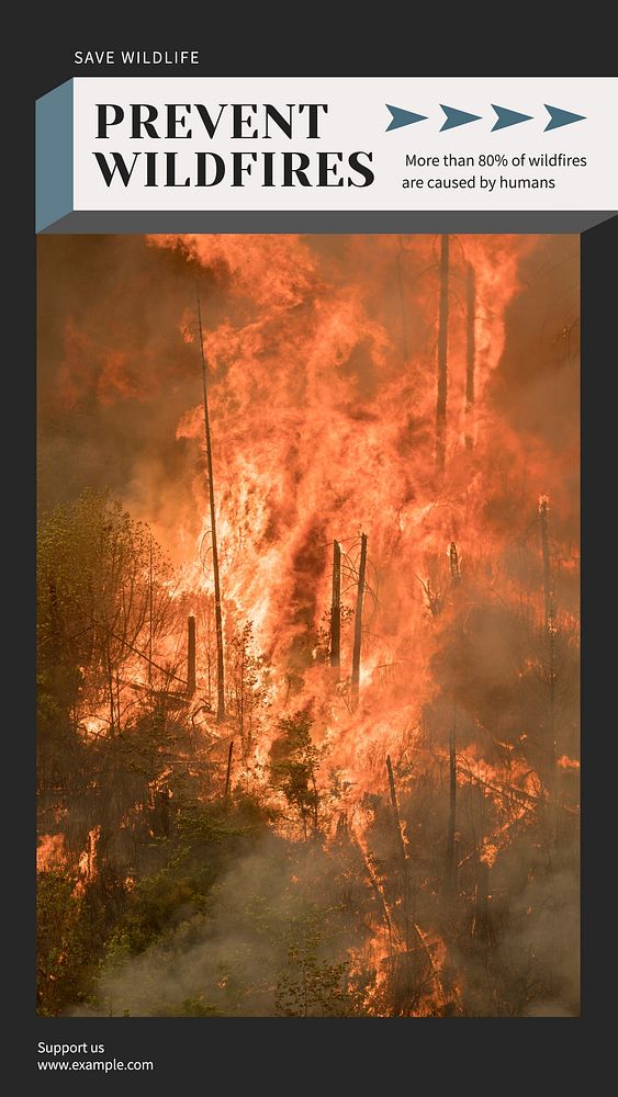 Forest fire Facebook story template
