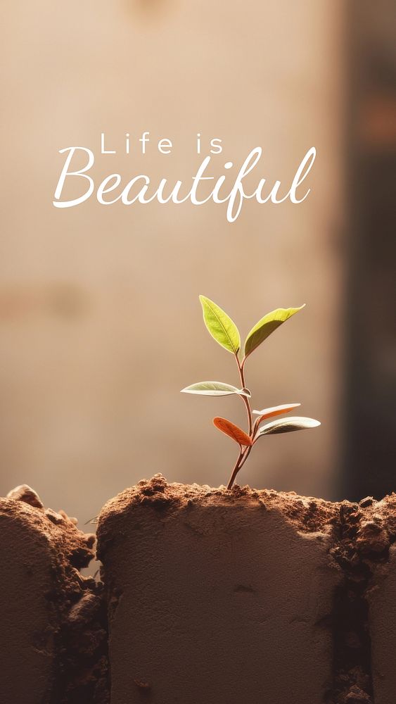 Beautiful life quote Instagram story template
