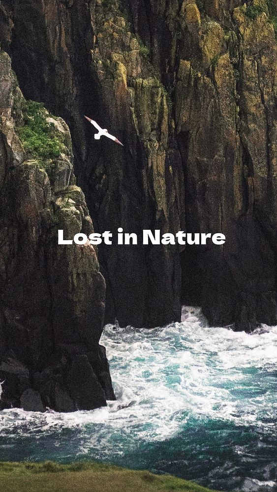 Nature relax Facebook story template