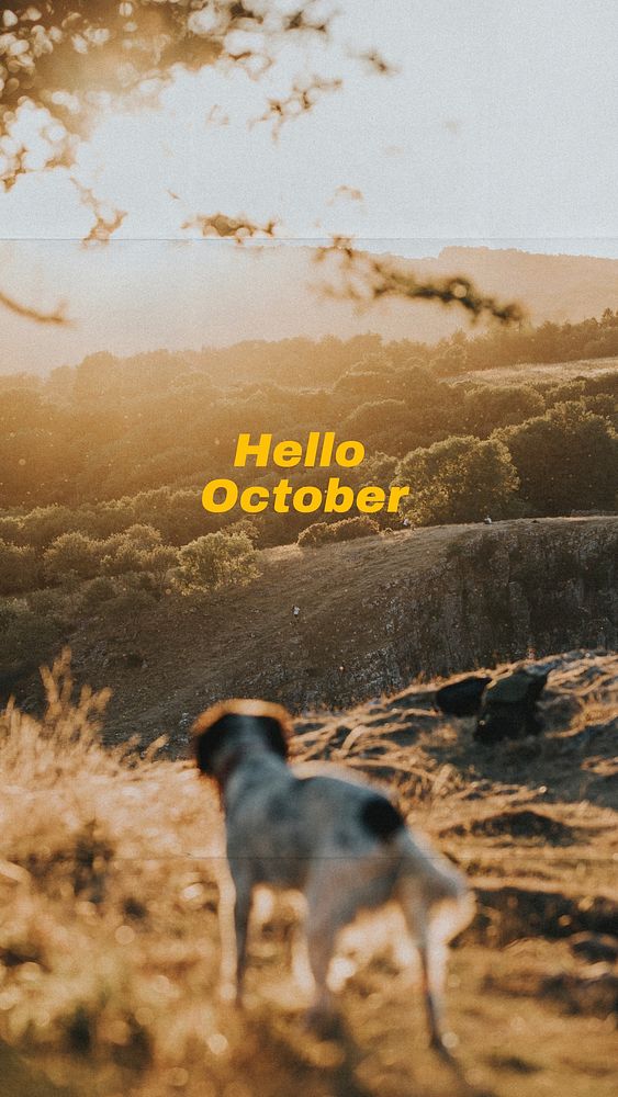 Hello October Facebook story template