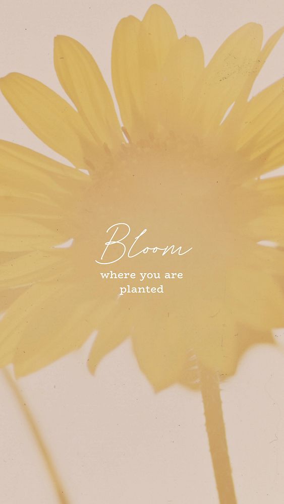 Bloom where you are planted Facebook story template