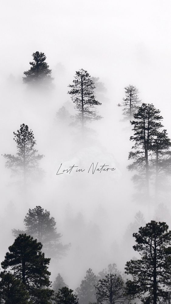 Nature relax quote  mobile wallpaper template
