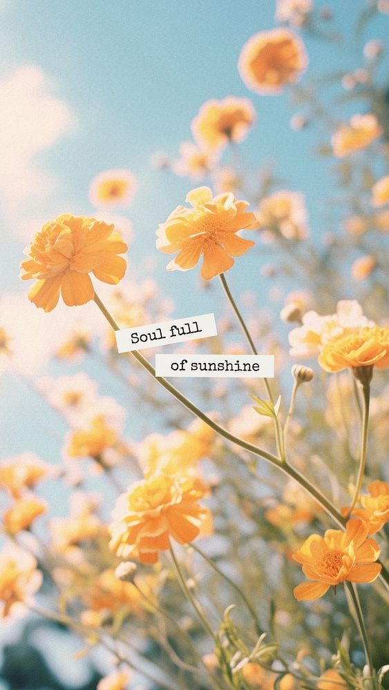 Soul full of sunshine quote  mobile phone wallpaper template