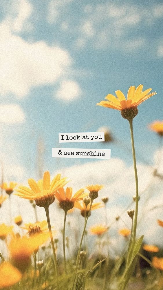I look at you & see sunshine quote  mobile phone wallpaper template