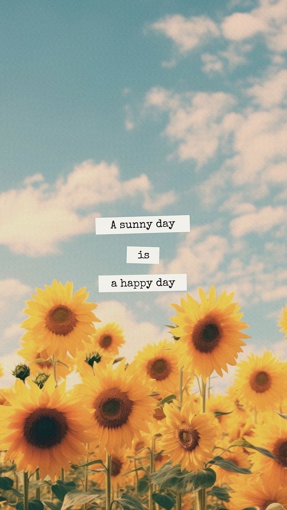 Sunny days quote  mobile phone wallpaper template