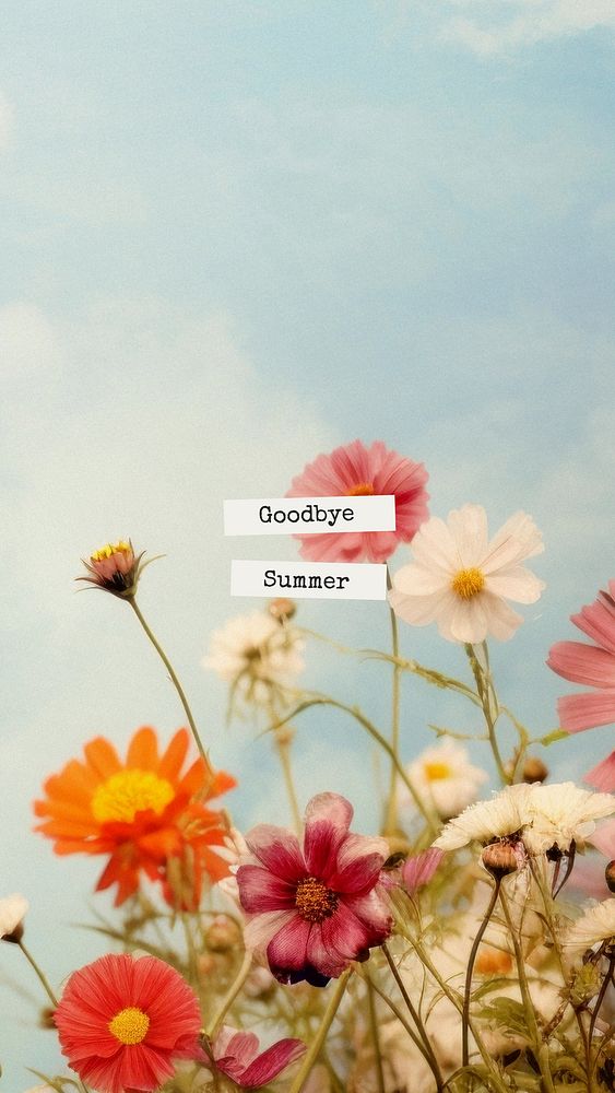 Goodbye summer quote  mobile phone wallpaper template