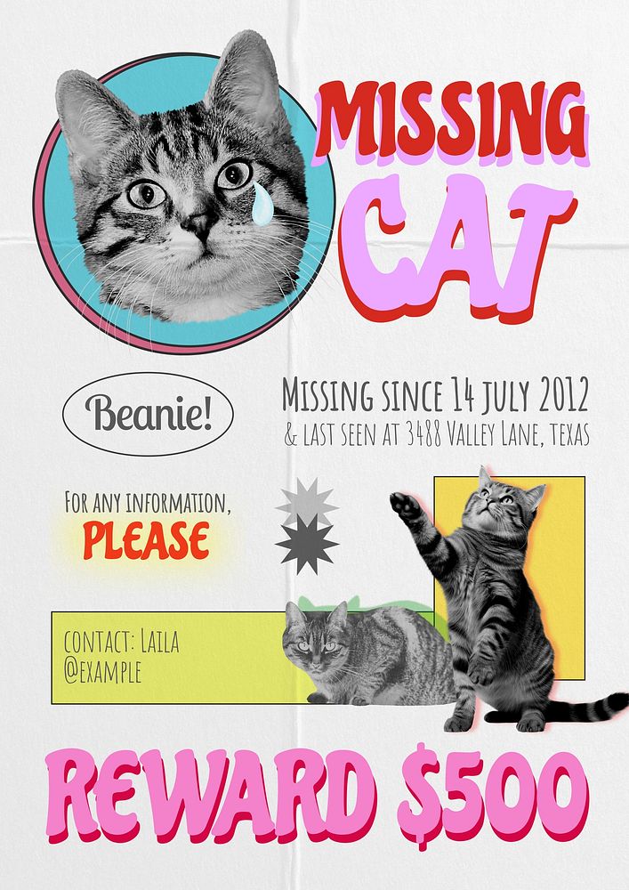 Missing cat poster template and design