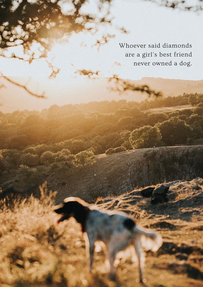 Pet  quote poster template