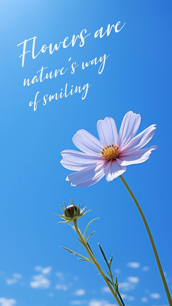 Flower  quote Instagram story template