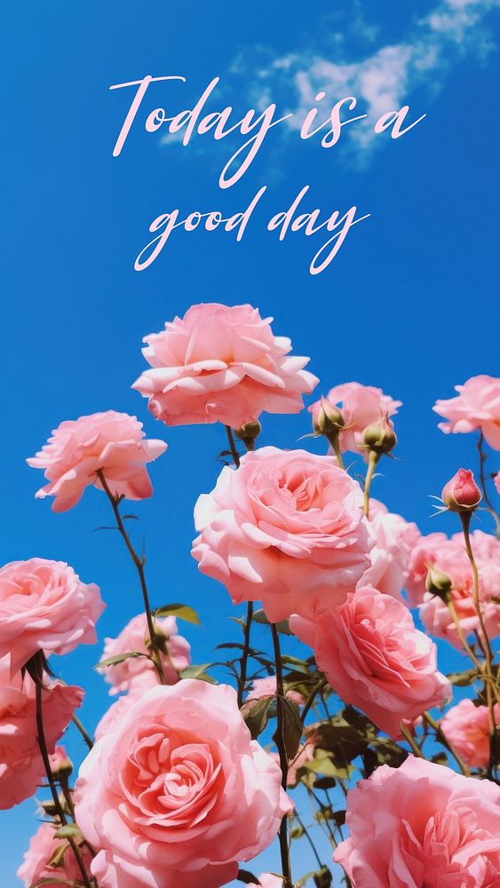 Good day  quote Instagram story template