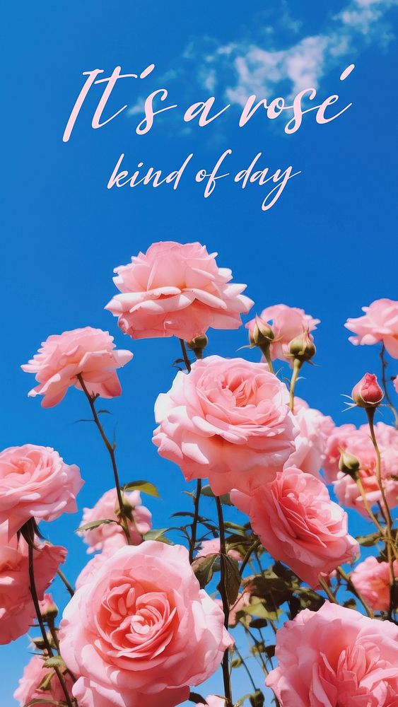 Ros&eacute; day quote Instagram story template