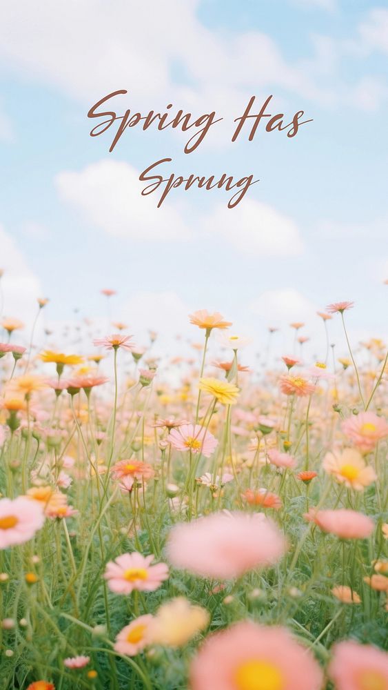 Early spring quote Instagram story template