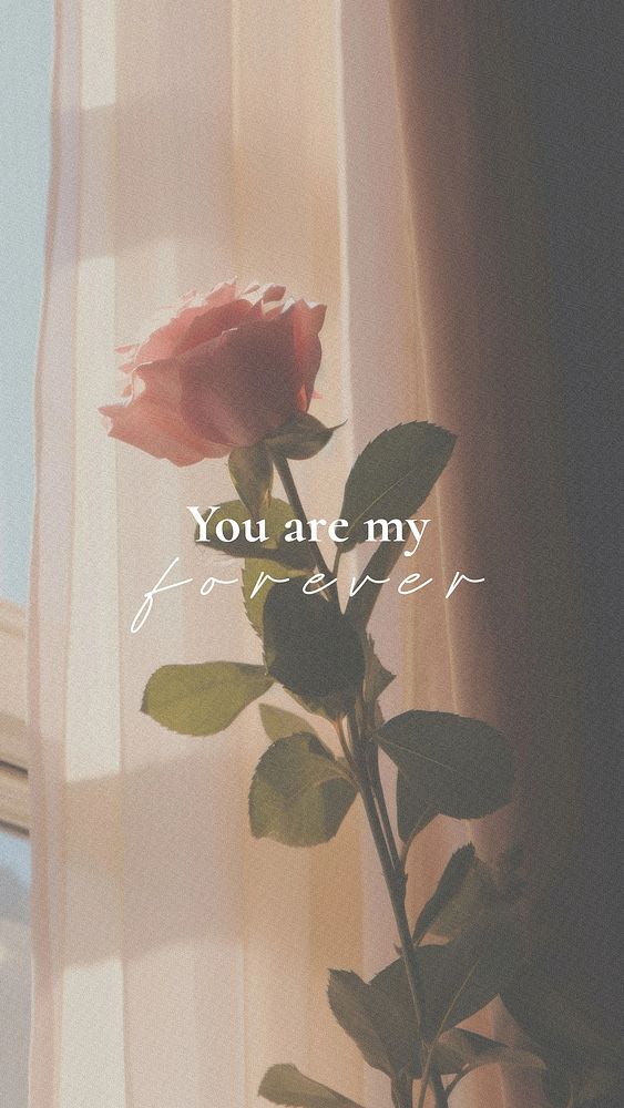 You are my forever quote   mobile wallpaper template