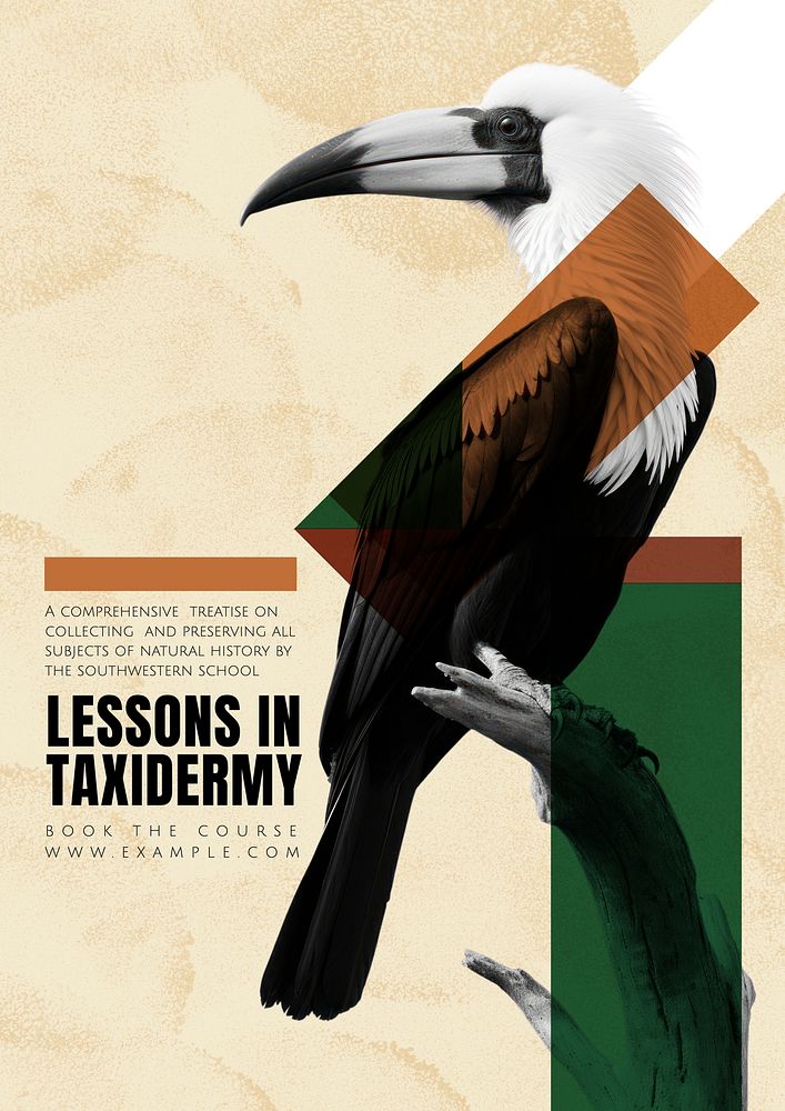 Taxidermy lesson  poster template
