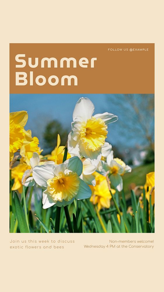 Summer bloom social story template, editable text