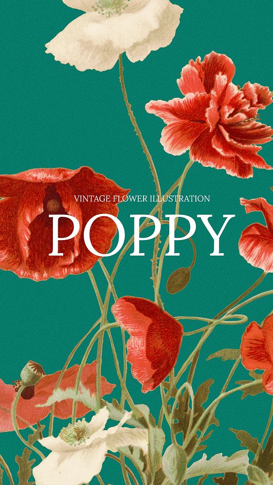 Poppy Instagram story template, vintage flower design