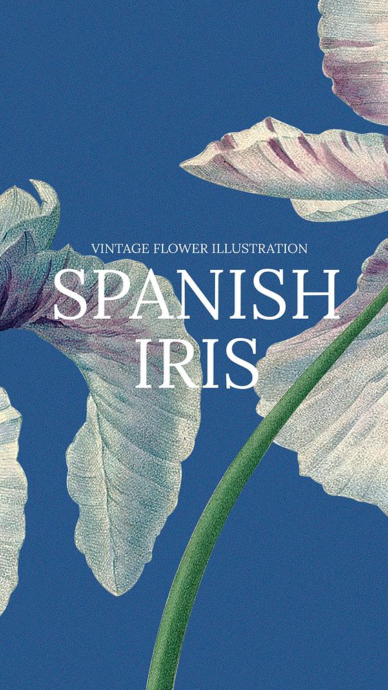 Spanish iris Instagram story template, vintage flower design