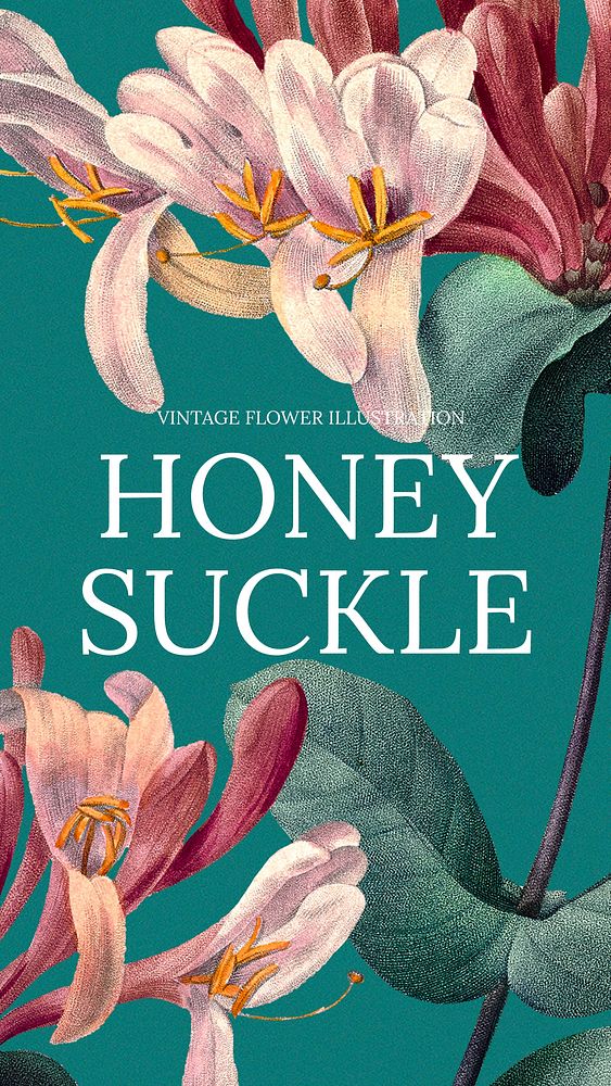 Honey suckle Instagram story template vintage flower design