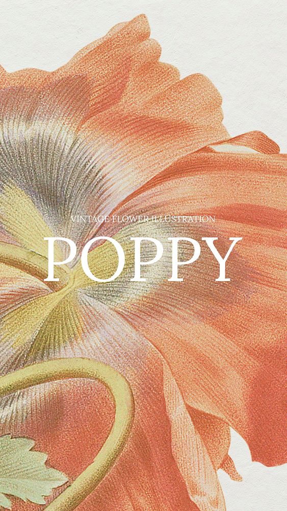Poppy social media story template, vintage flower design
