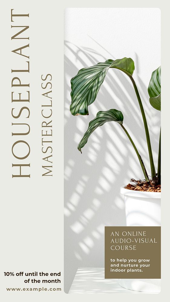 Houseplant masterclass Instagram story template