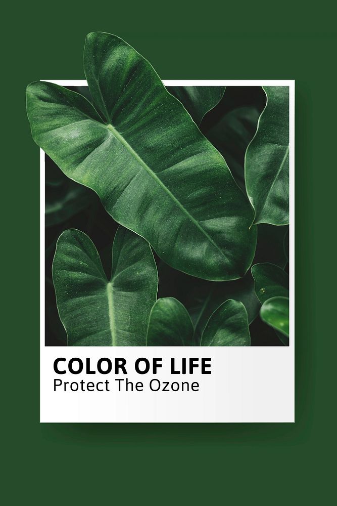 Environment protection Pinterest pin template, editable text
