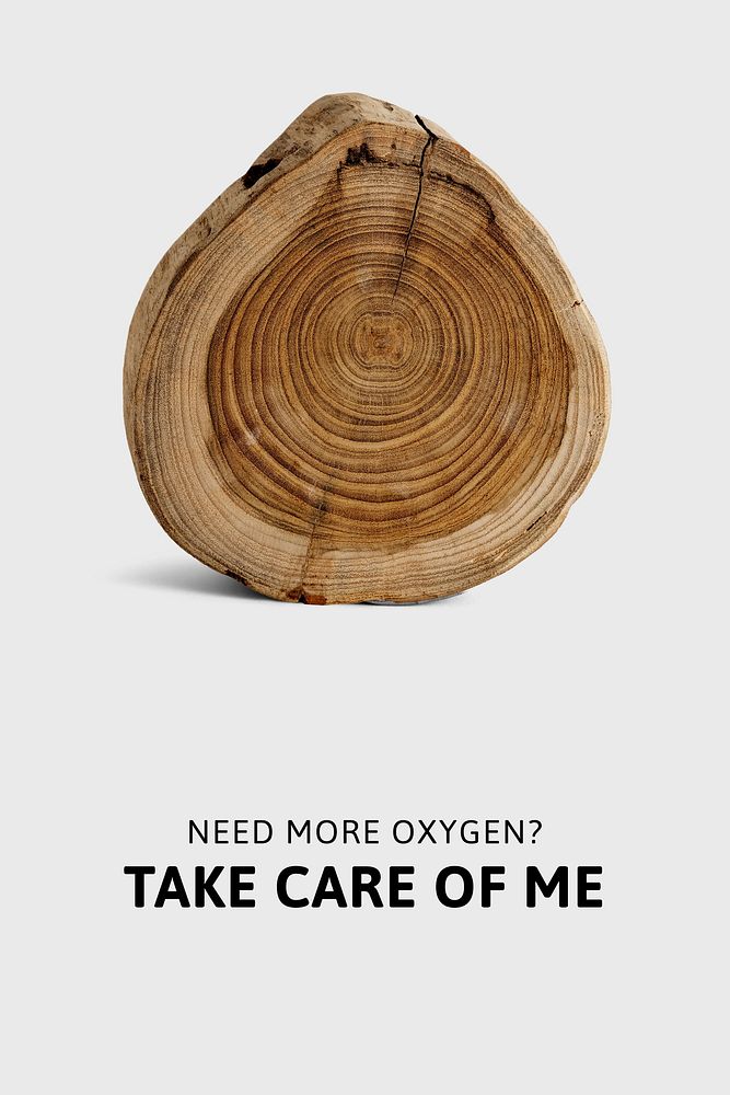 Stop deforestation Pinterest pin template, editable text