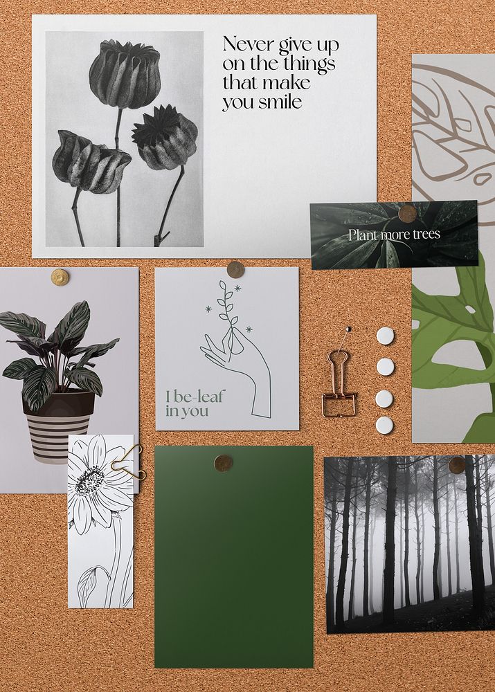 Minimal botanical mood board collage, note pinned on corkboard