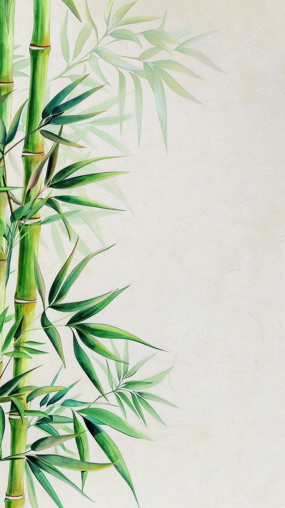 Wallpaper bamboos plant.