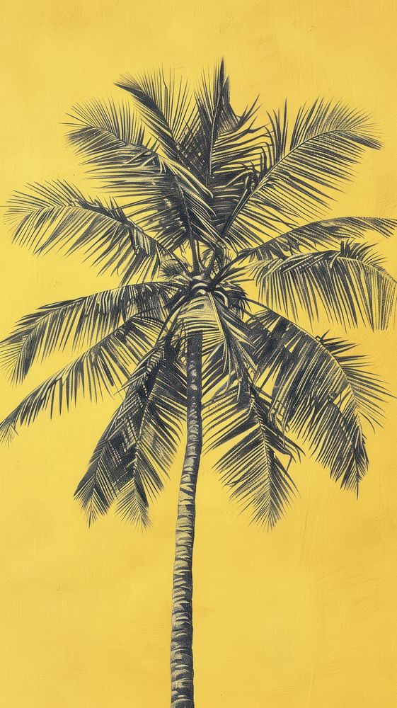 Wallpaper coconut tree arecaceae produce plant.