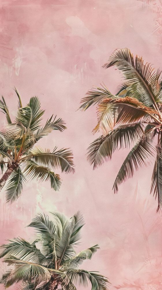Wallpaper coconut trees vegetation arecaceae painting.