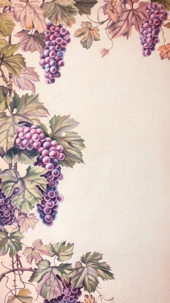 Wallpaper grape vines grapes painting produce.