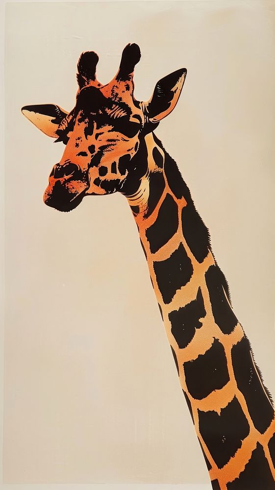 Giraffe wildlife animal mammal.