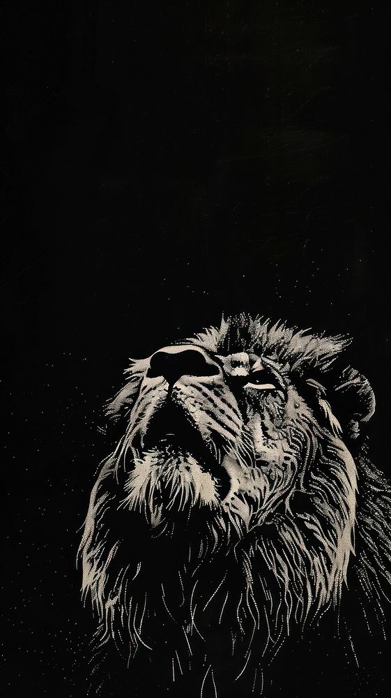 Lion illustrated wildlife drawing.