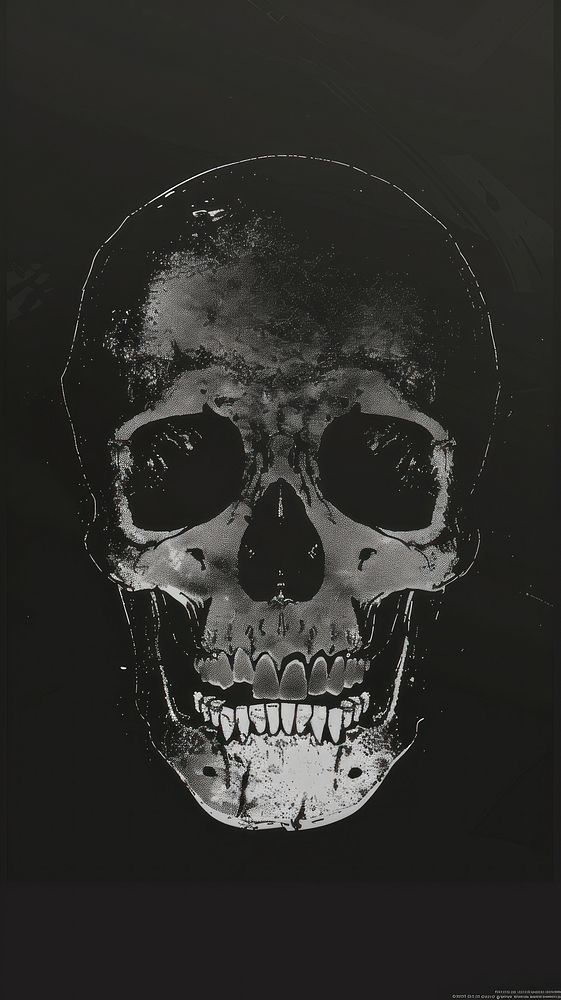 Skull person pirate human.