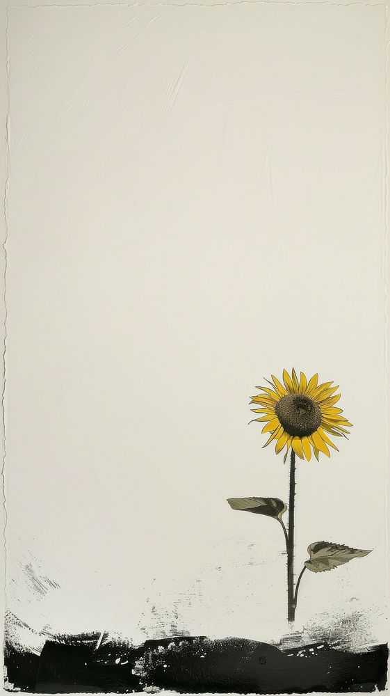Sunflower asteraceae painting blossom.