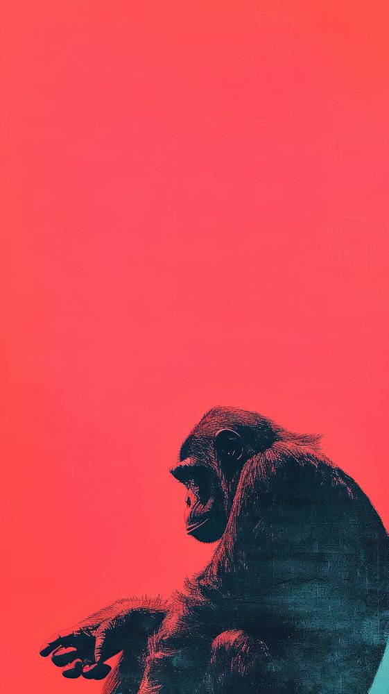 Monkey ape wildlife person.