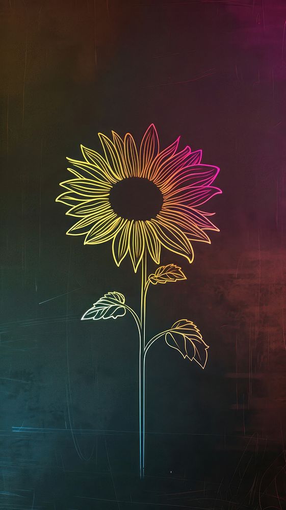 Sunflower graphics pattern blackboard.