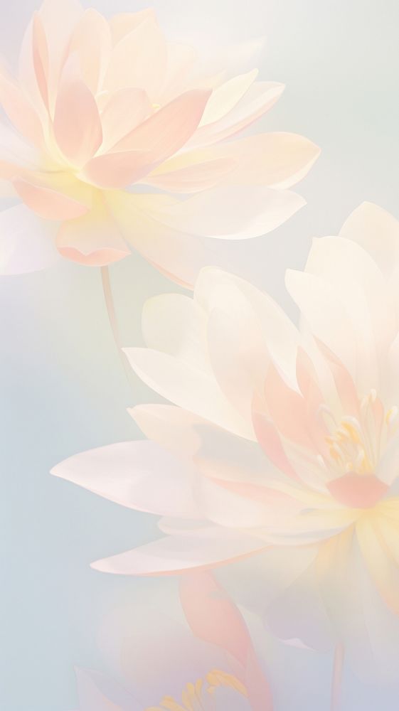 Blurred gradient Water lily blossom flower dahlia.